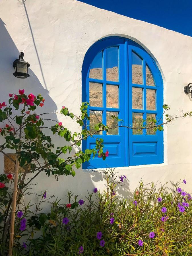 Pontoria Stegna Studios Archangelos (Rhodes) Exterior foto